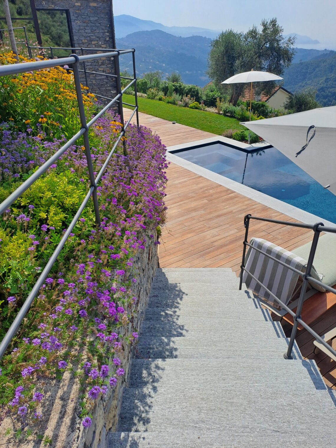 a garden with trees and plants